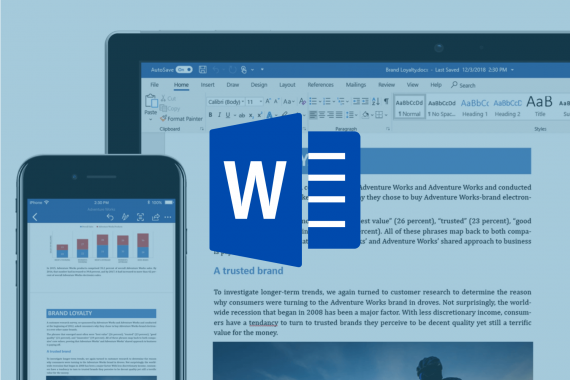 Formation Microsoft Word